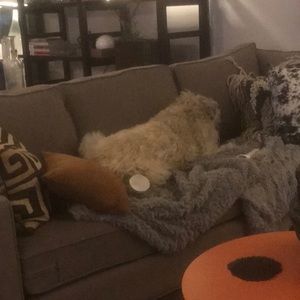 Meet your Posher, Tony